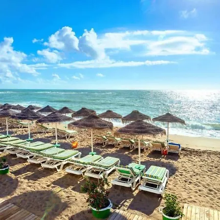 Aguila - Costa Del Sol Benalmádena